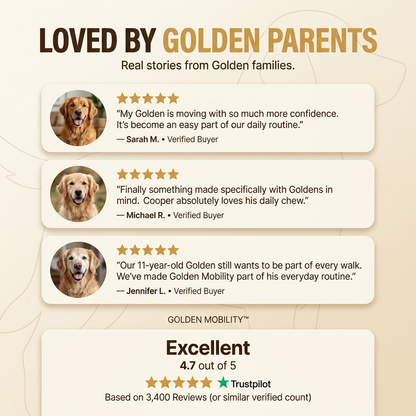 Golden Hip & Joint Chews