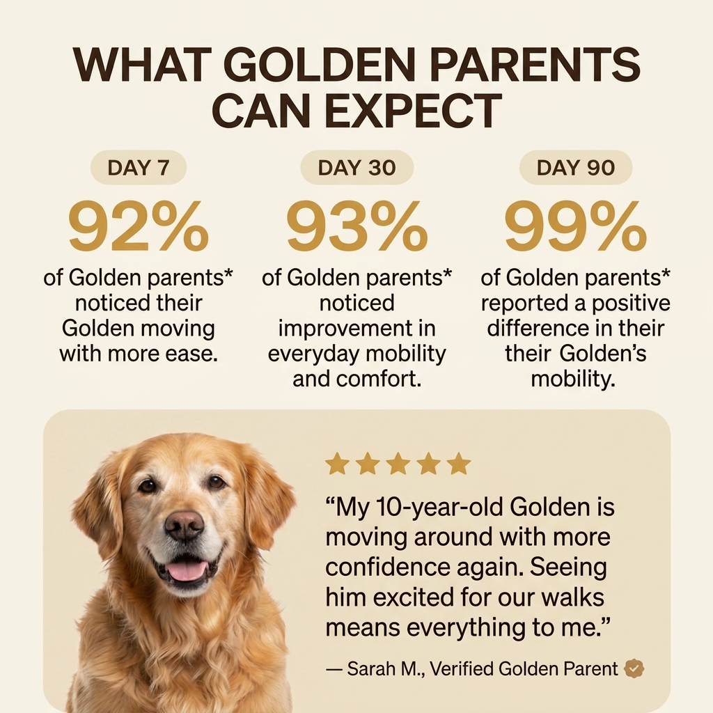 Golden Hip & Joint Chews